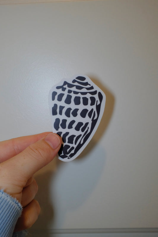 Hand holding an &BEYOND Hebrew Shell coastal-themed vinyl sticker.