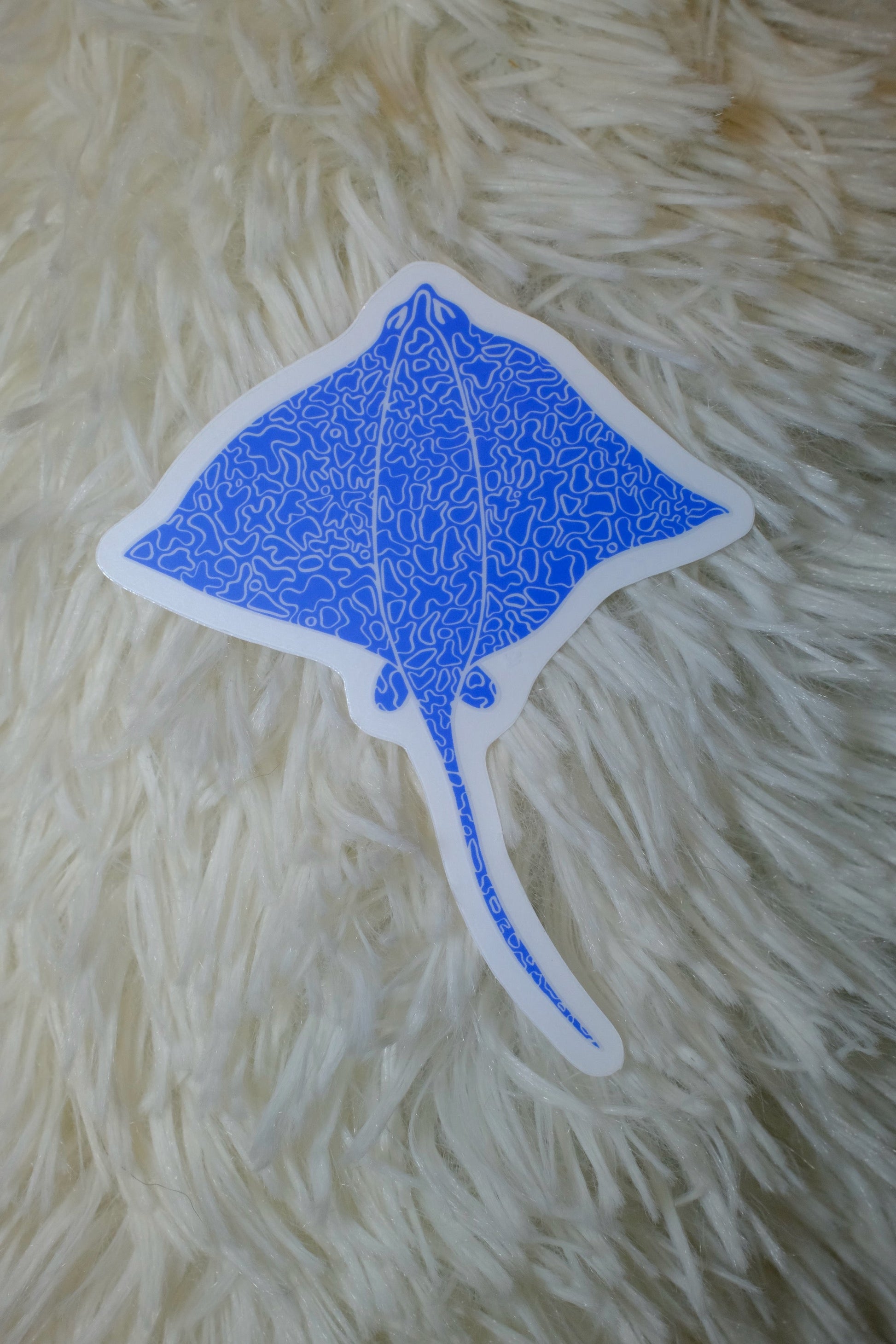 Flatlay of the &BEYOND Eagle Ray Top View vinyl sticker.