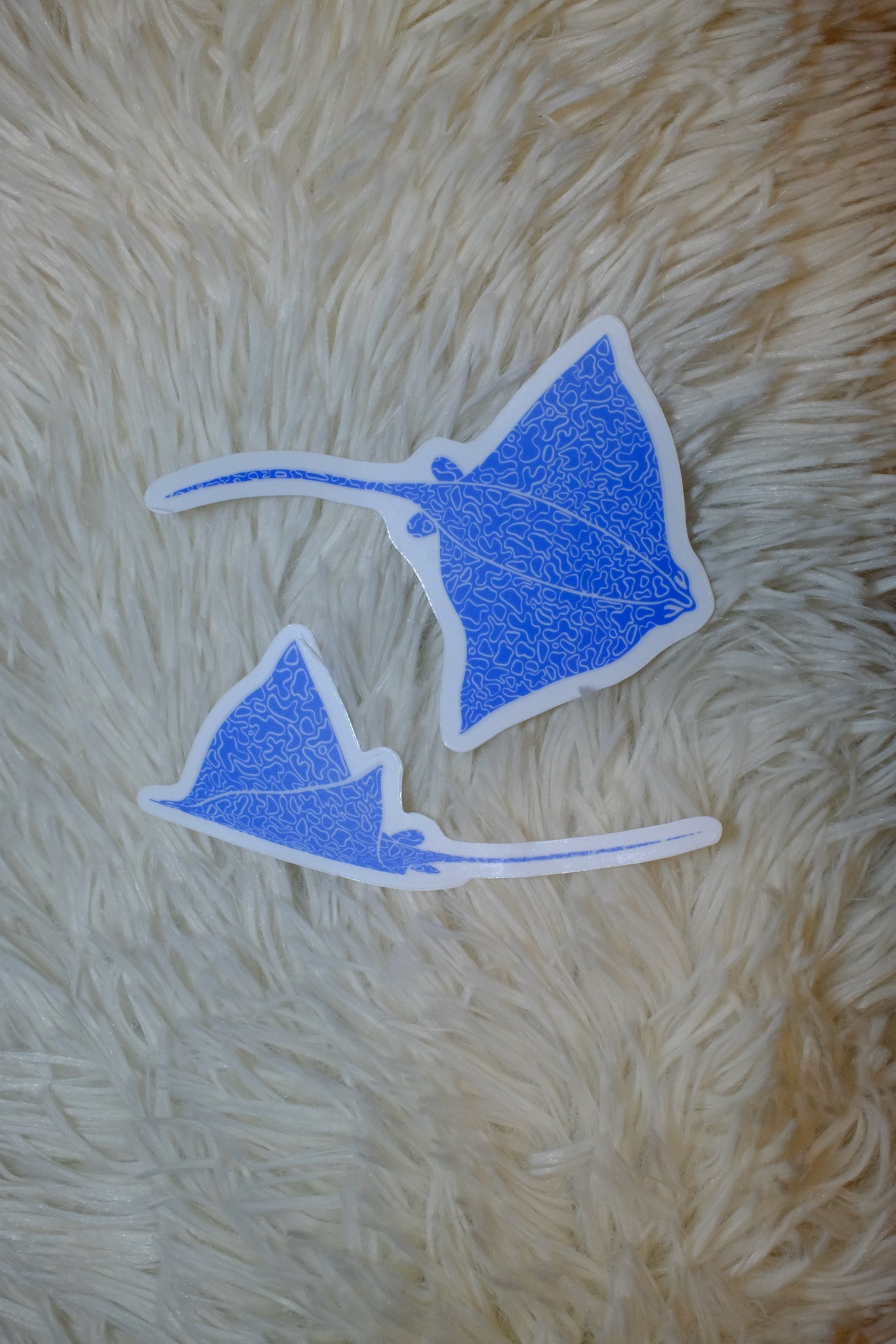 Eagle Ray Stickers  (Choose which design you prefer when you add to cart!)