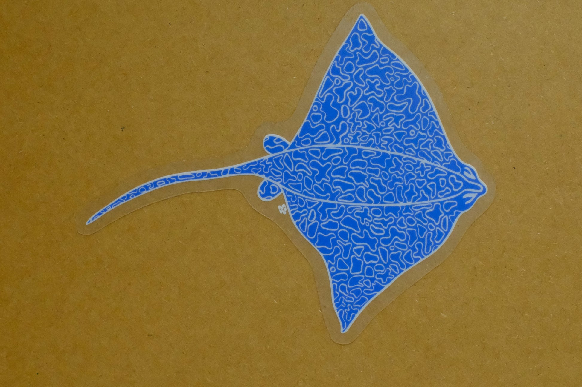 Close-up detail of the &BEYOND Eagle Ray Top View sticker design.