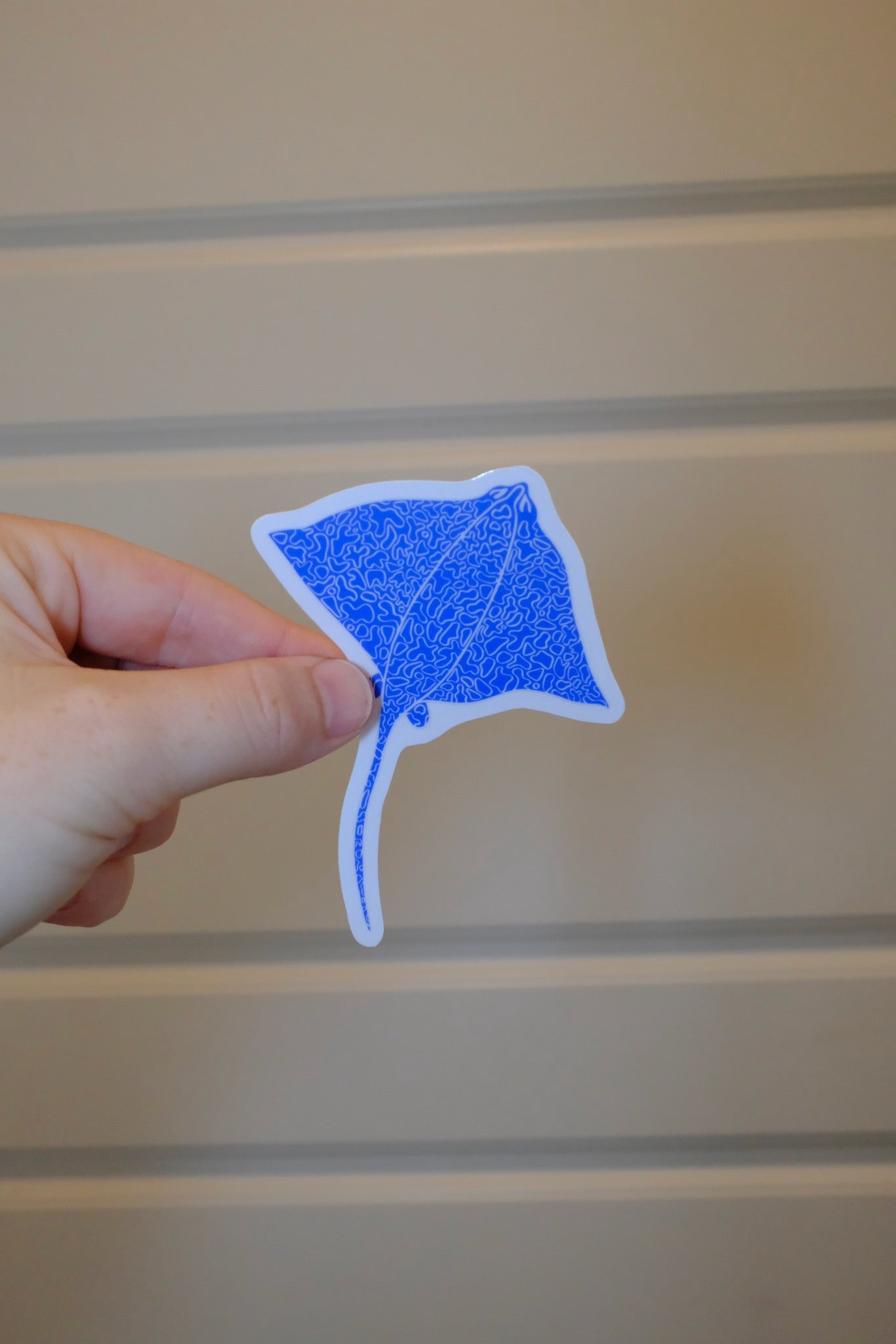 &BEYOND Eagle Ray Top View sticker displayed on a wood tabletop.