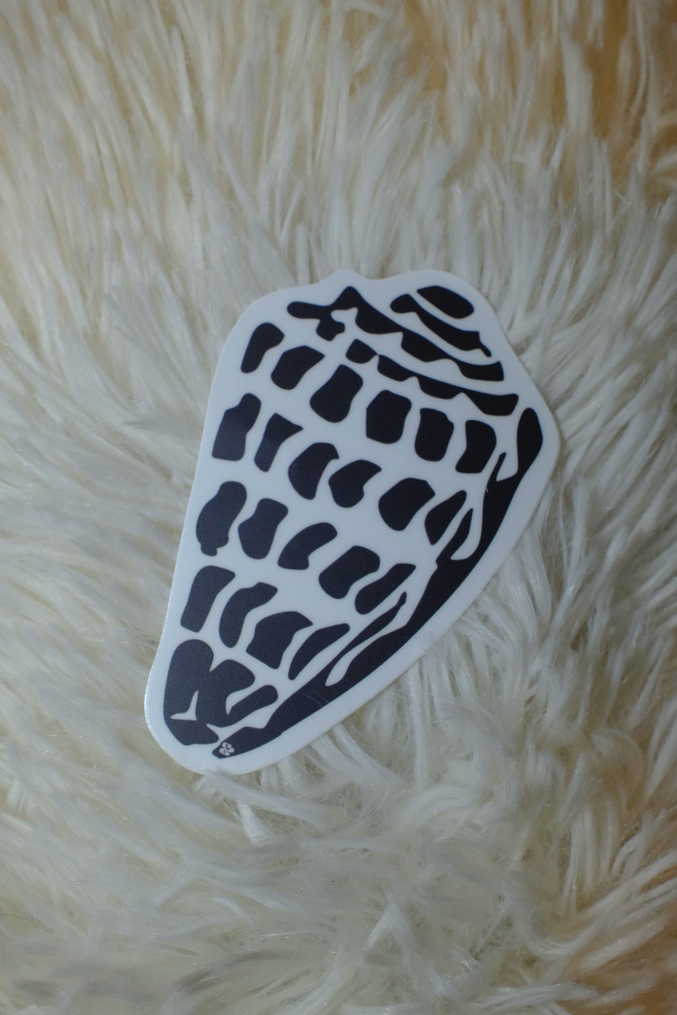 Flatlay of the &BEYOND Hebrew Shell vinyl sticker on a wood surface.