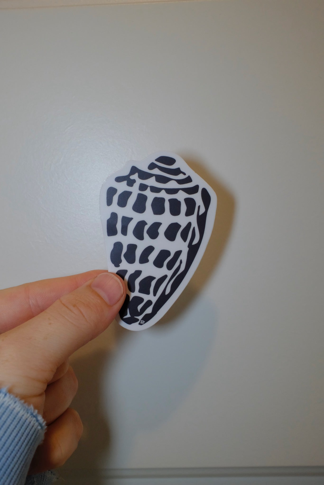 Hand holding an &BEYOND Hebrew Shell coastal-themed vinyl sticker.